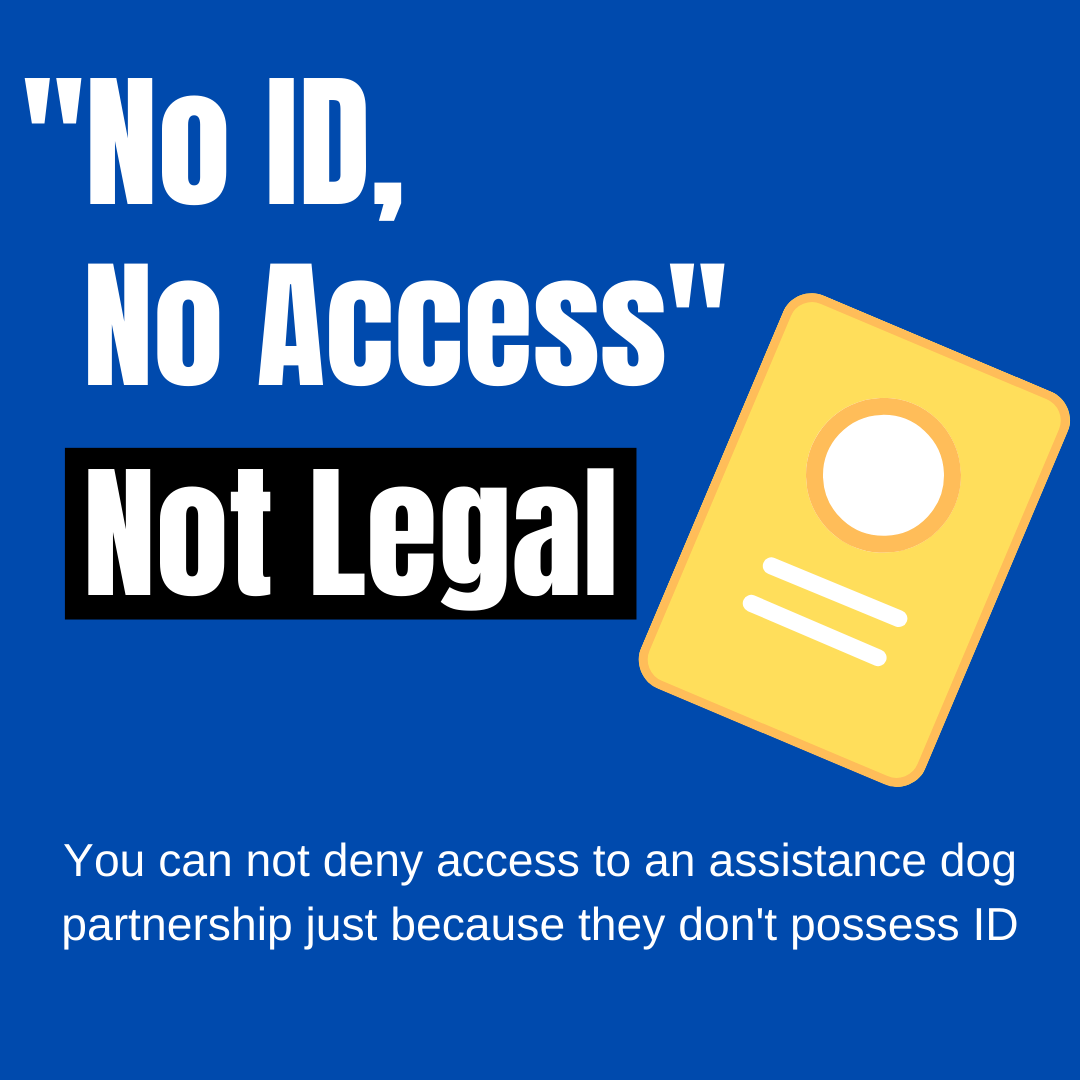 On a dark blue background it says 'No ID, No Access' and on a black rectangle in white text it says 'Not Legal' to the right there is a simple cartoon yellow ID booklet. Underneath in white text it states 'You can not deny access to an assistance dog partnership just because they don't possess ID'